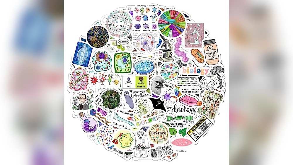 Best Laptop for Biology Majors