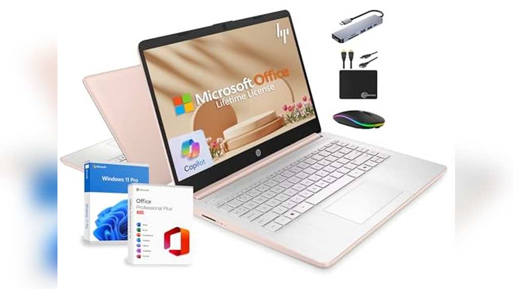 Best Laptop for Small Business Owners