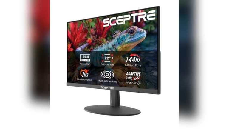 Best Monitor for Cheap