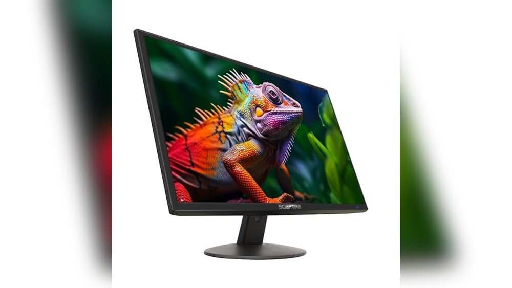 Best Monitor for Price