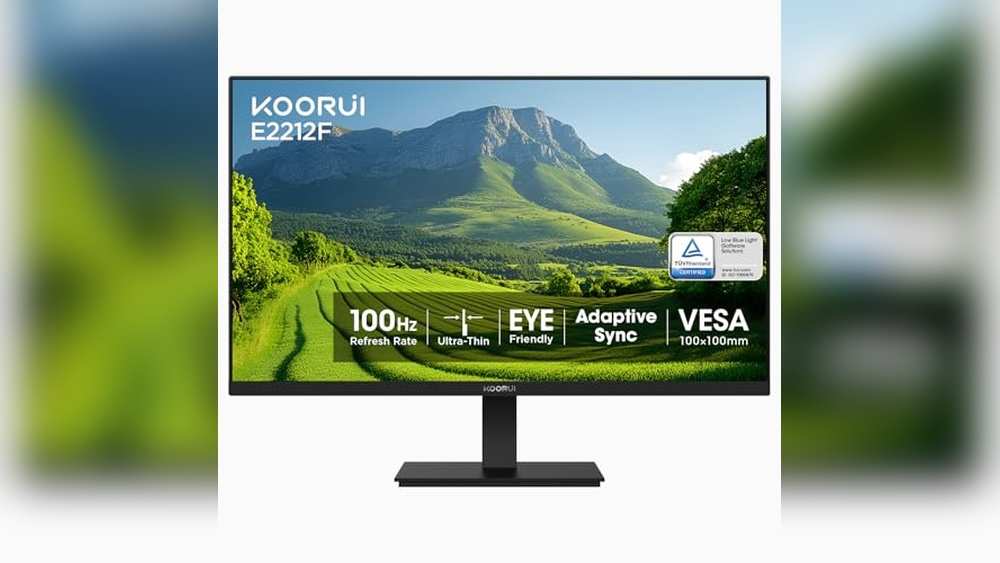 Best Monitor Panel Type