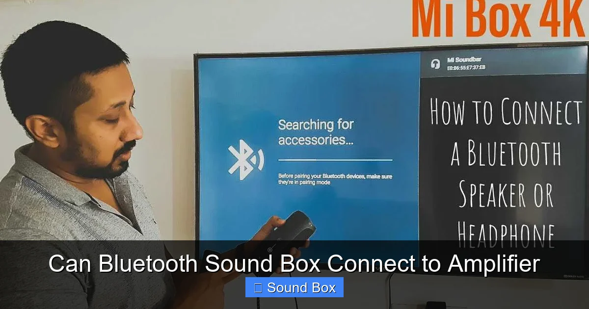 Can Bluetooth Sound Box Connect to Amplifier