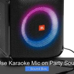 Can I Use Karaoke Mic on Party Sound Box