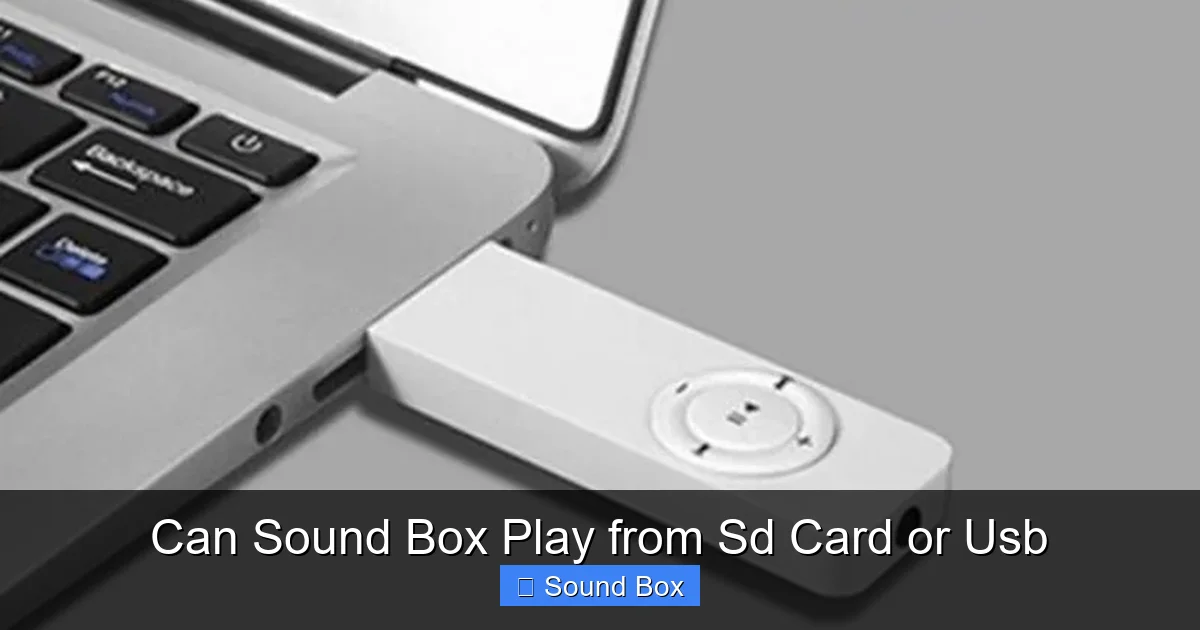 Can Sound Box Play from Sd Card or Usb