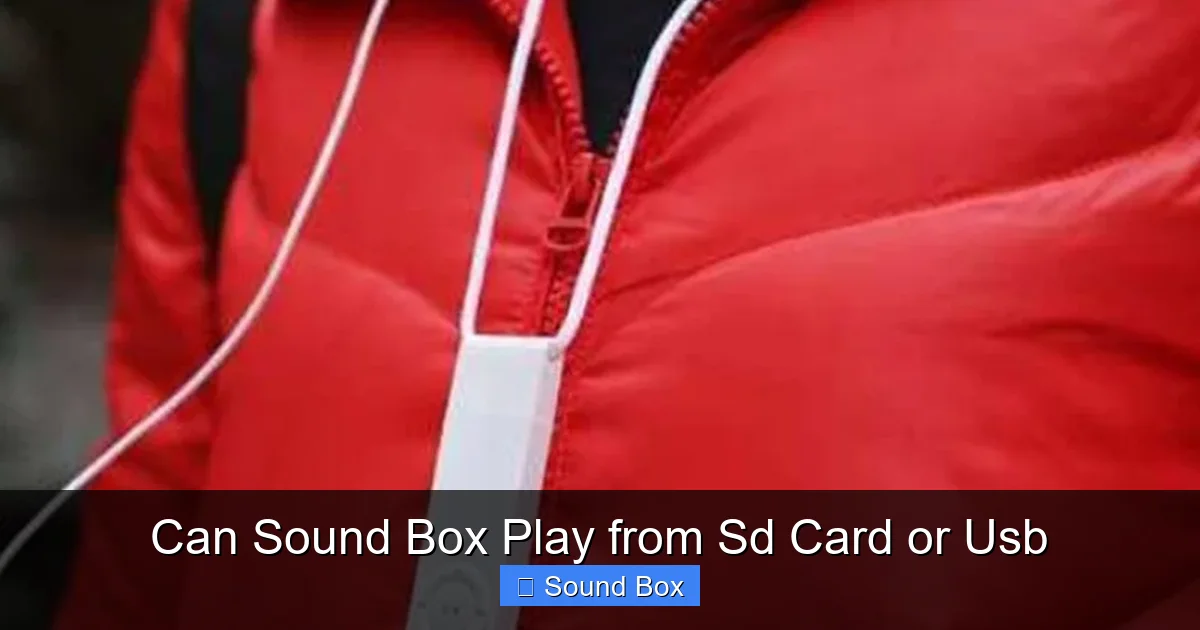 Can Sound Box Play from Sd Card or Usb