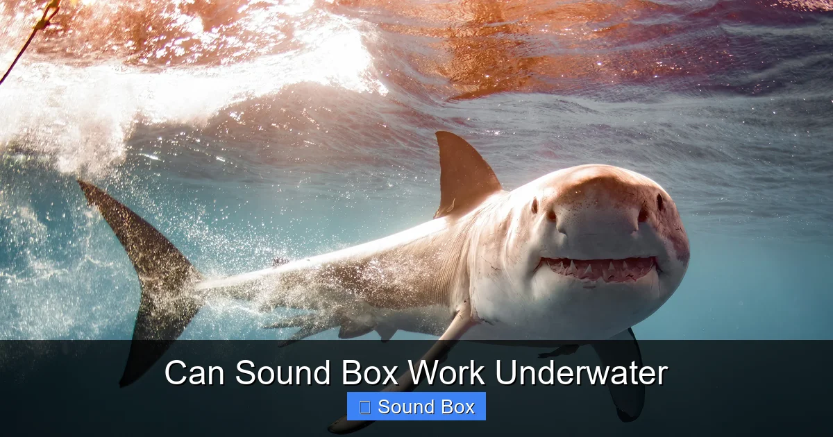 Can Sound Box Work Underwater