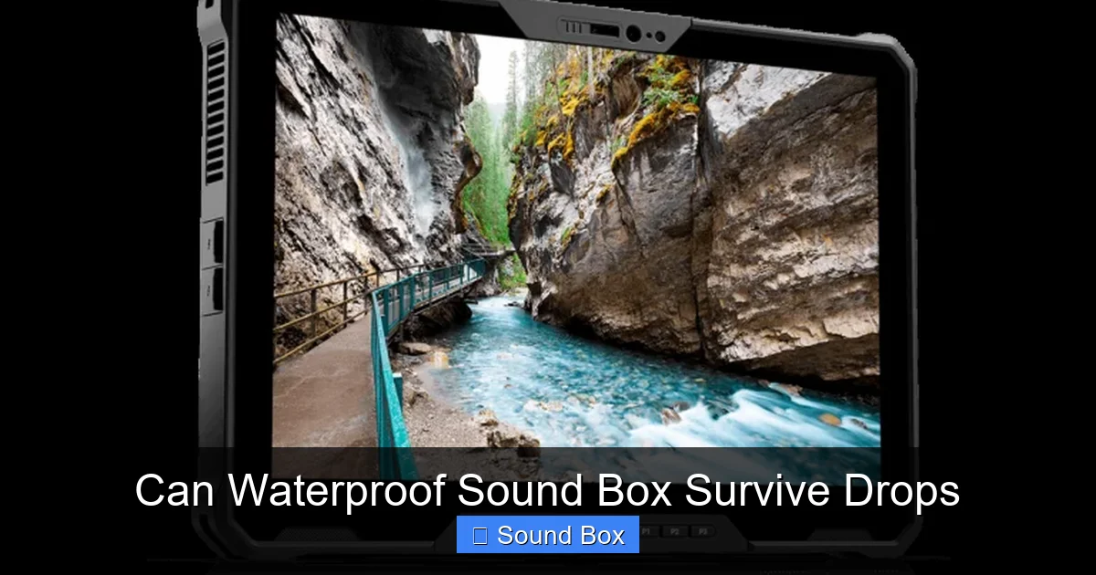 Can Waterproof Sound Box Survive Drops
