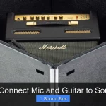 How to Connect Mic and Guitar to Sound Box