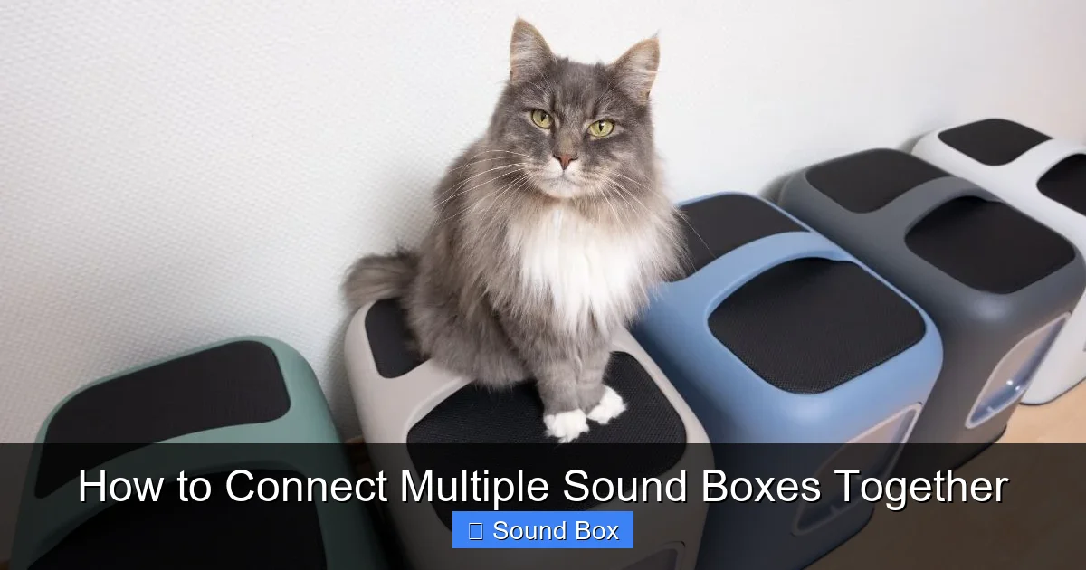 How to Connect Multiple Sound Boxes Together