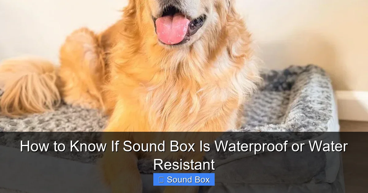 How to Know If Sound Box Is Waterproof or Water Resistant