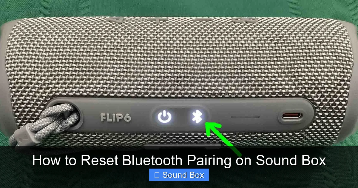 How to Reset Bluetooth Pairing on Sound Box