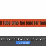 Is 1000 Watt Sound Box Too Loud for Home Use