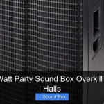 Is 1200 Watt Party Sound Box Overkill for Small Halls