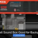 Is 300 Watt Sound Box Good for Backyard Party