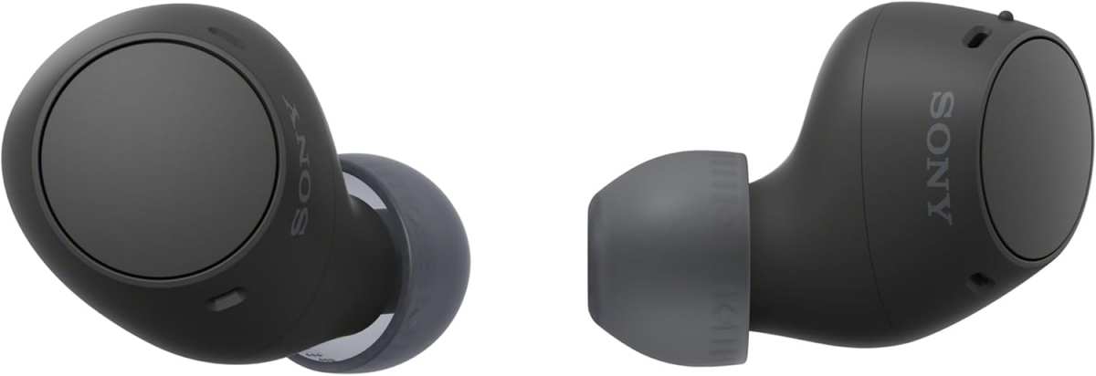 Sony WF-C510 Truly Wireless Earbuds: 22H Battery, Multipoint Connectio