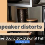 Why Does Sound Box Distort at Full Volume
