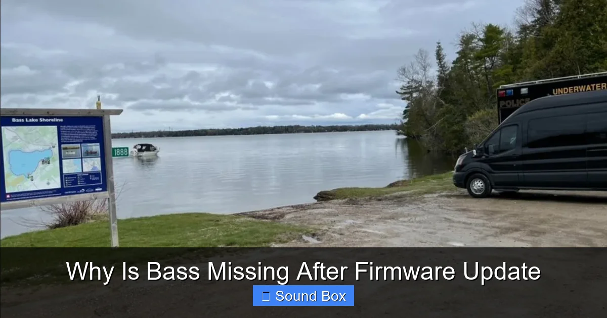 Why Is Bass Missing After Firmware Update