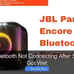 Why Is Bluetooth Not Connecting After Sound Box Got Wet